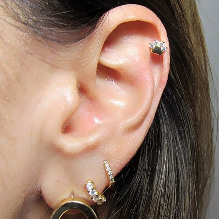 Piercing Banhado a Ouro para Orelha com Patinha com Cristais - 6ORE425