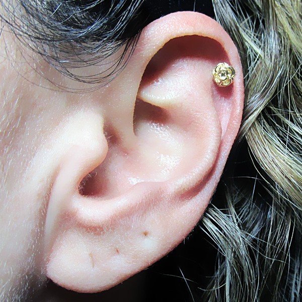 Piercing Orelha/Cartilagem Coração Daith Dourado - Loja de Piercings