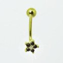 Piercing Rook / Rook / Íntimo Dourado Genital - Christina - 18INT09