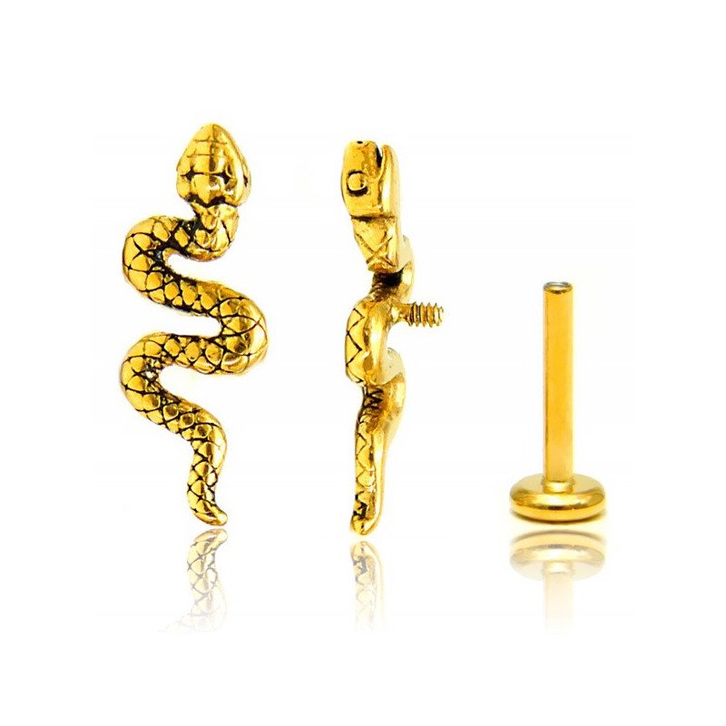 Piercing Labret - 100% Aço Cirúrgico - PVD Gold - Serpente - 7TRG110