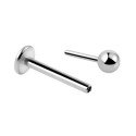 Piercing Labret Bolinha Pin Push em Titânio Natural ou PVD Gold - 7TRG160