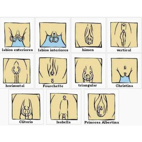 Piercing Rook / Íntimo Genital Banhado a Ouro - Trillion - Christina - 18INT29