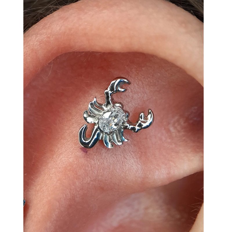 Piercing Labret Escorpião em Titânio -  7TRG278
