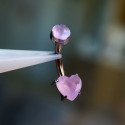Mini Piercing de Umbigo - Coração Pedra Opala - Titânio - 1COR111