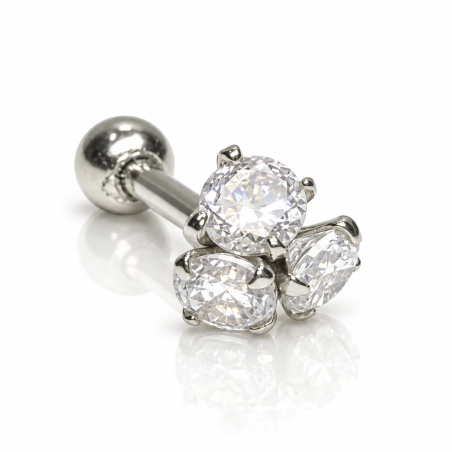 Piercing de Orelha em Prata - 6ORE156
