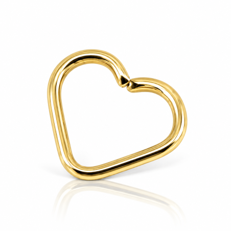 Piercing de Orelha Daith PVD Gold- 6ORE220