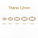 Piercing Argola 1.2mm Segmento Articulado em Titânio PVD GOLD - 6ORE578