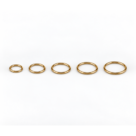 Piercing Argola Segmento Articulado em Aço PVD Gold - 6ORE592