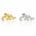 Piercing de Orelha - Ramo de Flores em Prata - 6ORE751