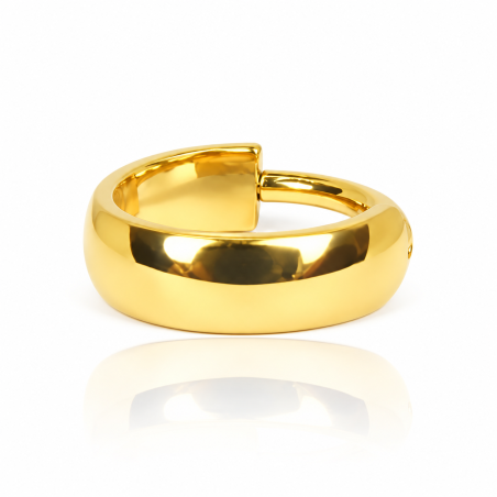 Piercing ou Brinco - Argola Clicker em Titânio - PVD Gold - 6ORE752