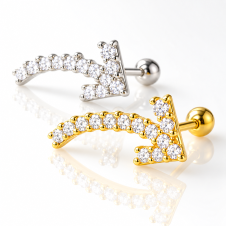 Piercing de Orelha em Aço Cirúrgico - Flecha toda cravejada com Cristais -  Prateado ou Banhado a Ouro - 6ORE775