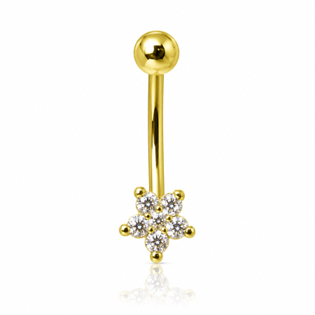 Piercing Rook / Íntimo Dourado Genital - Christina - 18INT10
