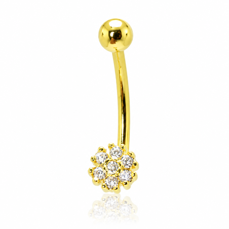 Mini Piercing Rook / Íntimo Dourado Genital - Christina - 18INT17