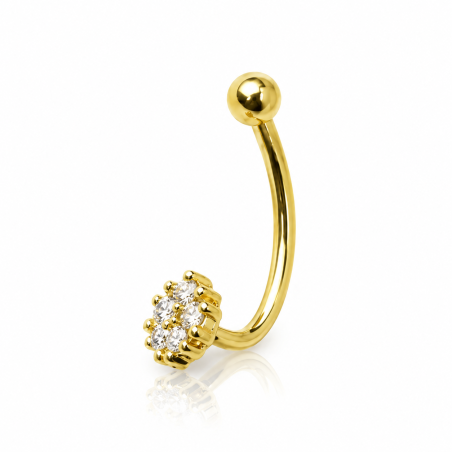 Mini Piercing Rook / Íntimo Dourado Genital - Christina - 18INT17